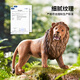 
Lebeifu simulated animal model 3-6 years old zoo toys boys and girls birthday gifts