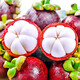 Shawo Shuguang Thai Mangosteen JD/SF next-day delivery to many places Freshly imported oleifera tropical fruits Fresh New Year Festival Special Fruit | Selected 4.0Jin Jin equals 0.5kg Gift box 5A large fruit