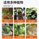 Yuntian diammonium phosphate agricultural chemical fertilizer phosphate fertilizer compound fertilizer general dian for vegetables, flowers and fruit trees diammonium phosphate (high concentration) 30Jin Jin equals 0.5kg