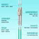 中科光电 万兆多模光纤跳线 多模双芯 双工光缆尾纤OM3 50/125μm电信级光纤线米 LC-LC多模 ZK-LC-LC/OM3- 1M米