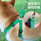 COCS狗狗牵引绳背心式中小型犬狗绳篮球运动风柯基柴犬遛狗绳狗胸背带 绿色(胸背+1.45米绳子) L（胸围60-76cm 建议25-45斤）