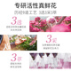 Kustie 玫瑰双舱洗发水500g 去屑止痒蓬松柔顺持久留香男女洗发液