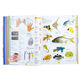Children's Illustrated Dictionary Original English Children's Illustrated Dictionary
