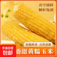 Fresh yellow waxy corn vacuum-packed instant corn soft and waxy sweet meal replacement 140g-180g 6 pieces