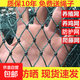Chicken net, chicken net, fishing net, breeding net, fence net, nylon vegetable garden fence, climbing vine grid, chicken net, protective fish net, thickened 18 strands, 3 cm, thickened ribs, 1.5 meters high, 10 meters long