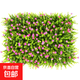 Simulated outdoor plant wall plastic fake lawn background living room plants indoor balcony artificial turf door head 9cm encrypted pink
