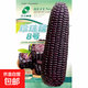 National Approval Spring Sowing Corn Seed Fruit Black Pearl Summer Sowing High Yield Early Maturity Field Eaten Raw Sweet and Sticky Color Pearl Nuo No. 8 Corn Seed 40g Original 5 Bags (Buy More for Cheap)