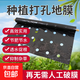 Perforated black mulch film for weeding, insulation, moisturizing and anti-aging medicinal materials, onions, peppers, peppers, special perforated mulch film, 1 wire, 1.5 meters wide, 280 meters wide, 30*30, 4 holes