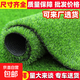 Simulated lawn carpet, artificial artificial turf, green outdoor decoration, fake grass plastic mat, balcony kindergarten, 2cm thickened spring grass (1m wide*6m long)