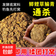 Autumn and winter fishing nest materials, wild fishing nest materials, crucian carp, grass, green bream, whole grains, wheat, rice-based nest materials, grain nest materials, 400g, 5 bags, large and small, Tongsha