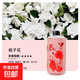 New aromatherapy machine, automatic fragrance machine, hotel home bathroom, long-lasting fragrance fragrance machine, long-lasting deodorization, fast deodorization, air cleaner, deodorization artifact, gardenia essential oil 1 bottle (small essential oil refill)