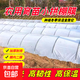 White transparent agricultural seedling film small shed film insulation and moisturizing greenhouse film waterproof plastic film protective film 2 wires thick 1.5 meters wide 10 meters long (zero cut)