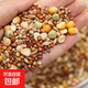 Other horticultural high-quality nutritious pigeon food, meat pigeons, ornamental pigeons, homing pigeons, racing pigeons, Yuanbao pigeons, young pigeon feed, breeding pigeons, pigeon food with corn 50 Jin Jin equals 0.5 kg