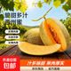 正宗哈密瓜西州蜜大果甜瓜新鲜采摘蜜瓜脆甜多汁整箱 哈密瓜1.5-2斤