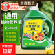 Plant nutrient solution, universal household potted money tree, rich bamboo and green dill, hydroponic flower and green plant vegetable fertilizer, nutrient solution 2500ml, one bottle worth 5 bottles