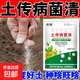 Soil-borne disease bactericide, agricultural soil fungicide, anti-repeat root rot, dead seedlings and root rot, 10 packs 500g*10