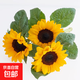 Sunflower Birthday Gift Fresh Cut Flowers Yunnan Base Direct Delivery Fresh Sunflower Flowers Graduation Bouquet 3 Sunflowers Medium Large Flower Medium Large Flower Sunflower
