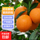 正宗赣南早橙手剥橙10斤当季水果新鲜现摘果冻橙伦晚脐橙 带箱2斤60-70mm