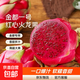 Shangchao Daguo Guangxi Jindu No. 1 Red Heart Pitaya Super Sweet Red Flesh Pitaya Fresh Fruit 6 Pack Single Fruit 200g+