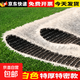 White artificial lawn carpet, ski resort landscaping decoration, outdoor football field paving, artificial plastic fake turf, 2.5 cm white, high-end special density, export quality, 2 meters wide*2 meters long