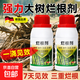 Powerful big tree root rot agent, special for removing big trees, one drop of dead tree king, rotten tree root removal, bamboo root rot agent powder, powerful root rot agent 250ml *2 bottles