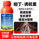 1% indolebutyric acid S-induced plant growth regulator for rice seedlings to promote rooting 500g*1 bottle