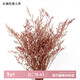 AIMAN ins air-dried flower bouquet home decoration small fresh living room flower arrangement internet celebrity decoration baby's breath eternal flower SN reddish brown lover's grass