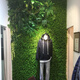 Doutu Gardening Green Plant Wall Simulation Plant Turf Wall Decoration Indoor Background Flower Wall Green Wall Hanging Plastic Fake Lawn Door Head 247 Eucalyptus