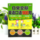 日常交际英语口语900句：日常英语入门通关，一本就够了！（扫码赠音频)-昂秀外语