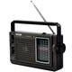 Tecsun TECSUN R-304P portable high-sensitivity full-band semiconductor radio This model