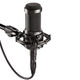 Audio-technica AT2050 condenser microphone mobile phone live broadcast equipment set karaoke chorus anchor recording microphone bracket package