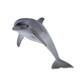 [70% neu] Dise Marine Animals Delphin Model Toys Jungen und Mädchen Marine World Early Education Cognition Kinder simulierte Tierspielzeugdolphin14699/14808