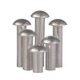 Halbrunde Kopf Aluminium Nieten Rundkopf Solid Niet Rundkappe Knock-out Aluminium Nieten Pilzkopfschild Nagel GB867 M2.5*4 [500 Kapseln]