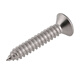 Bairite 304 stainless steel countersunk head self-tapping screws cross flat head self-tapping screws extended wood nails dry wall nails GB846 M3.5*50 50 capsules