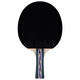 Pisces table tennis racket horizontal single racket 3-star Samsung ball racket for beginner training 3D-C with racket case