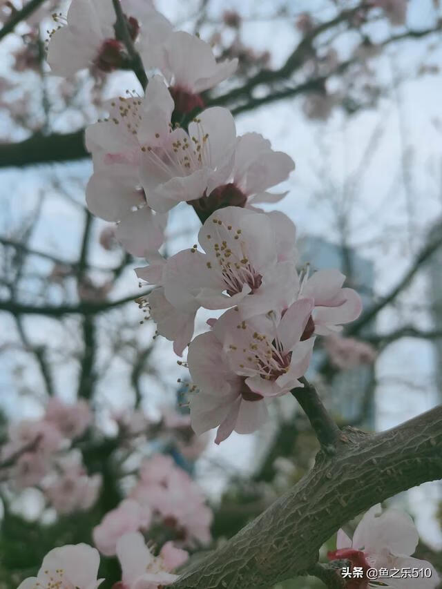 学生怎样可以简单赚零花钱（正规渠道赚点零花钱)