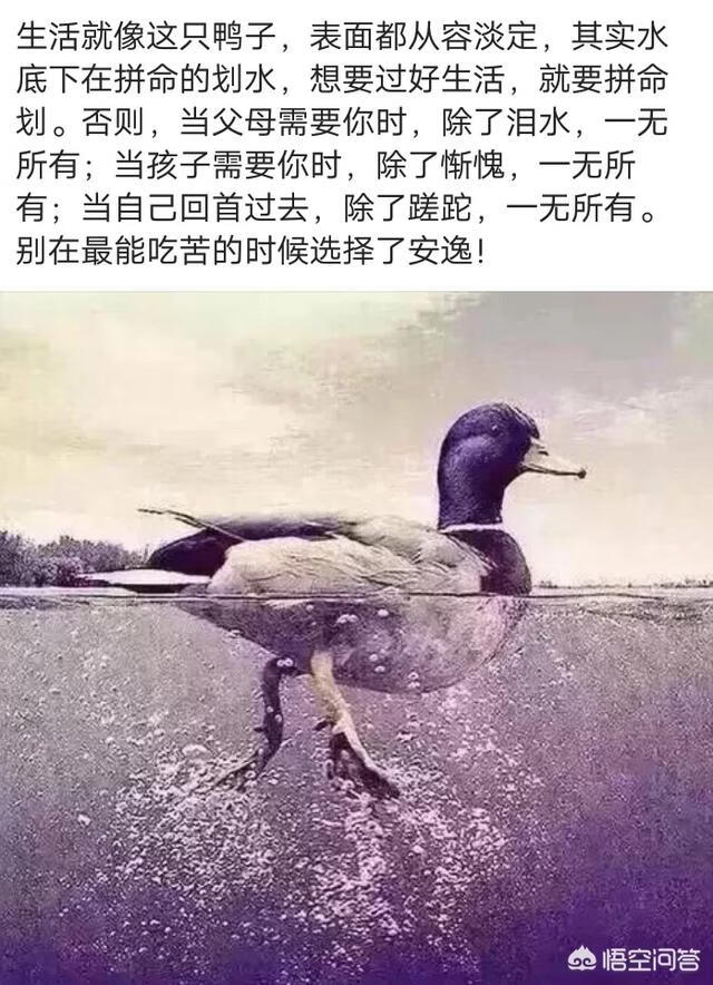 怎么打