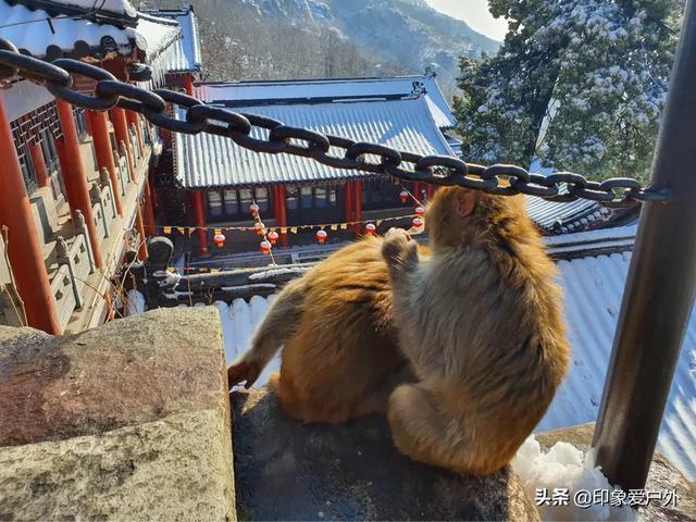 花果山怎么样