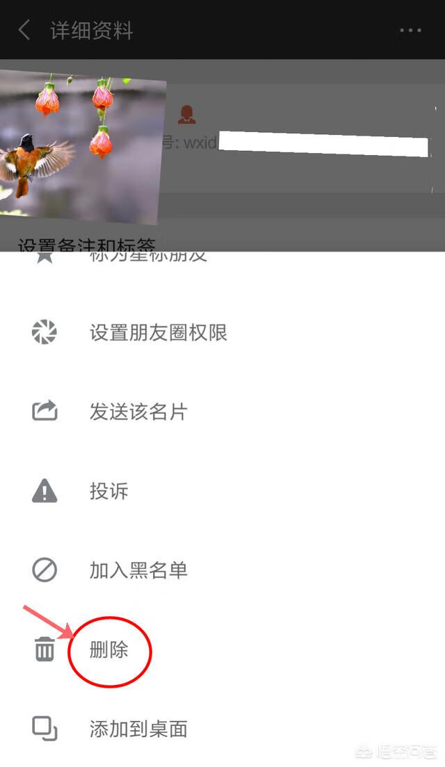 怎么删除微信好友（一键恢复已删除好友)