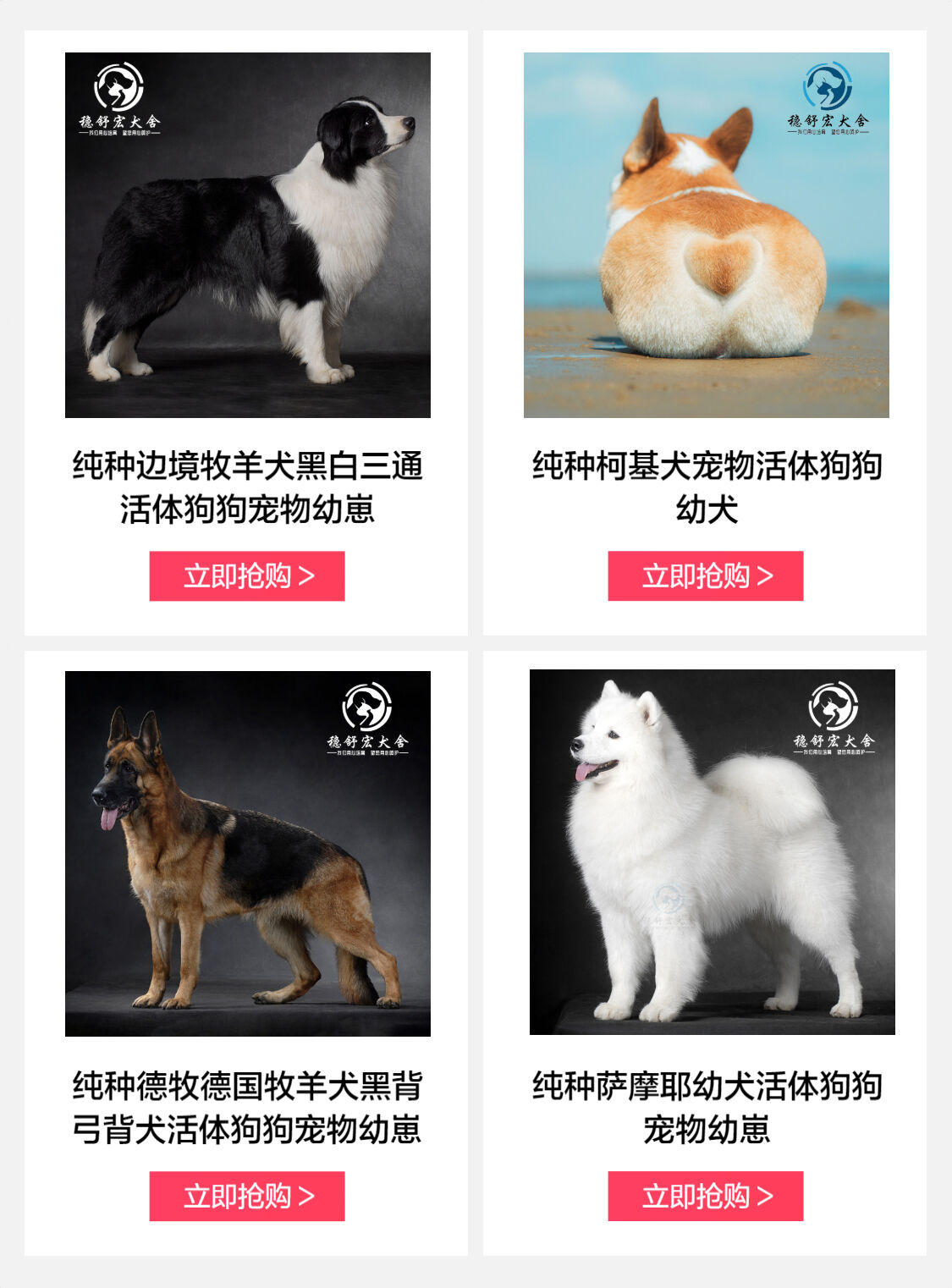 稳舒宏宠物生活专营店