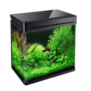 创意生态水族箱