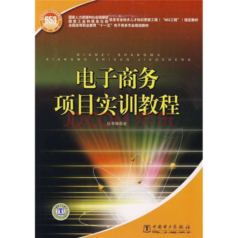 全国高等职业教育"十一五"电子商务专业规划教材:电子商务项目实训