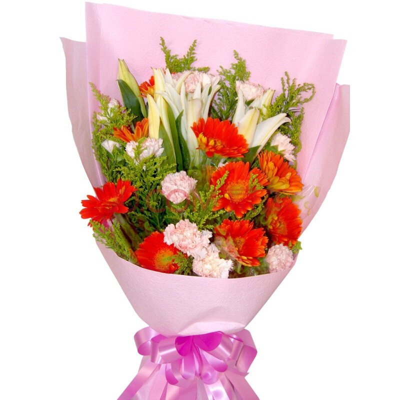 母亲节鲜花 粉色康乃馨花束 全国配送 圣诞节鲜花速递 鲜花预订【尚雅