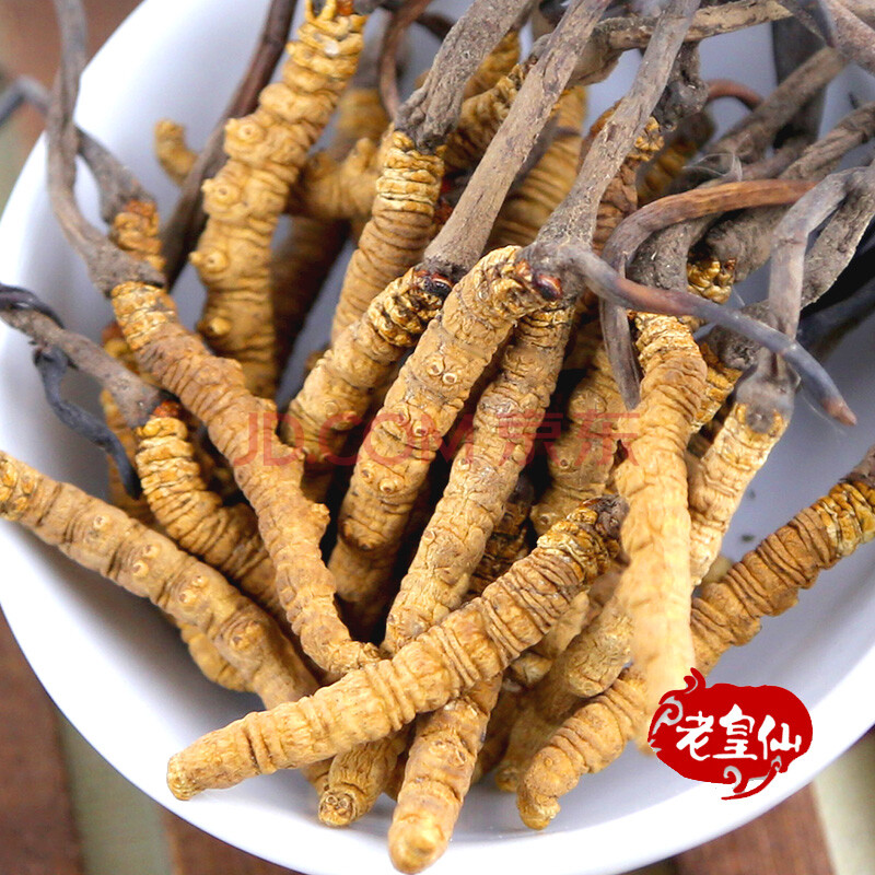 老皇仙虫草 青海玉树冬虫夏草 3条/克