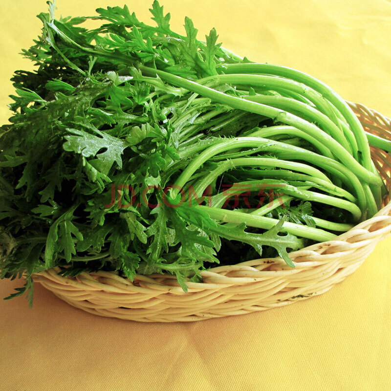 中穗有机 有机茼蒿 春菊 250g 时令蔬菜 新鲜采摘 全程冷链配送 健康