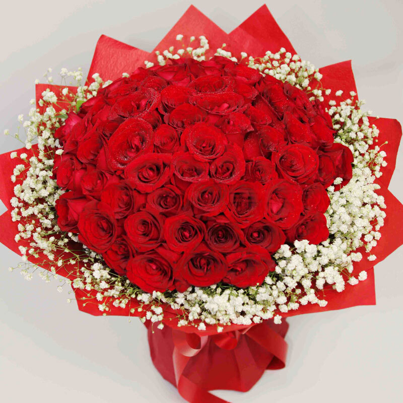 鲜花速递 66枝红玫瑰 情人节鲜花 我订花【春舞枝】frs0283 一生一世