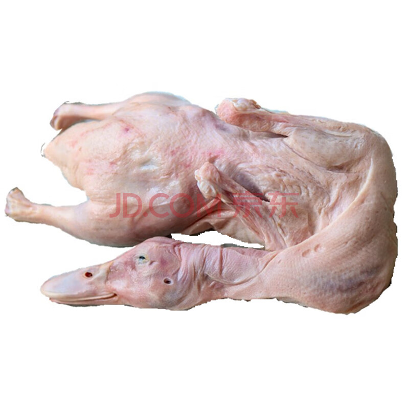 农家土鸭子正宗老鸭仔鸭嫩鸭麻鸭水鸭现杀活鸭老鸭汤啤酒鸭1.3kg