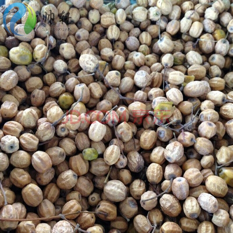 楝树紫花树种子籽林木种子 去皮半斤