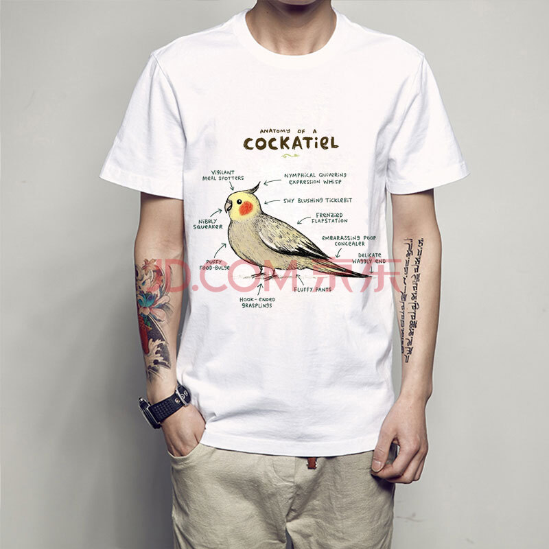 男装 t恤 sexemara 新款动物解析创意图案 欧美风格 脾气暴躁的猫