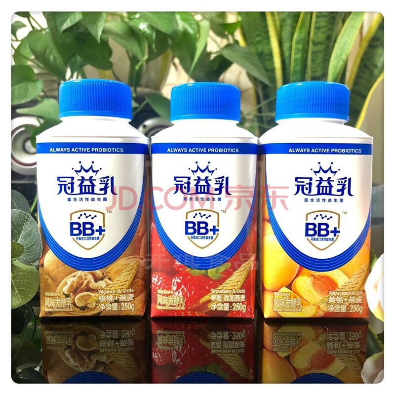 冠益乳蒙牛酸奶风味发酵乳活菌乳双岐杆菌250g保温箱冰袋发货燕麦核桃